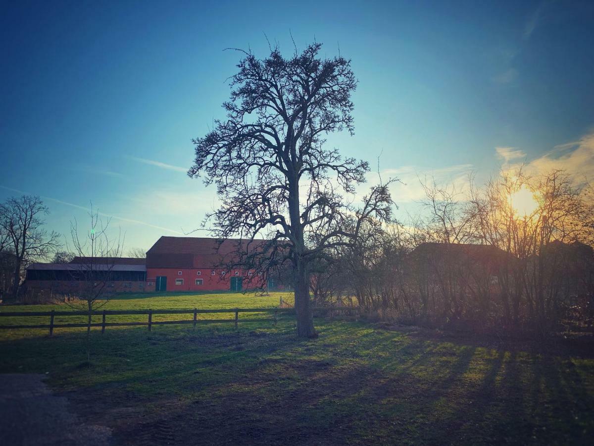 Schickes Landhaus In Koselau&Ostsee Riepsdorf Exterior foto